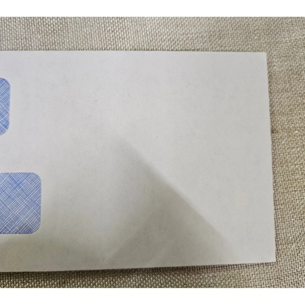 500 Double Window Envelopes #10 White Blue Security Tint CE05B Business